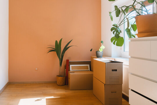 Packed cardboard boxes and a vibrant green houseplant stand on the wooden floor of an otherwise empty room. Relocation and new home moving lifestyle concept.