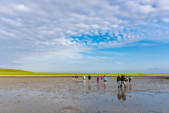 Mudflat hikers explore the Wadden Sea during a guided tour