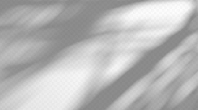 Gobo light effect on a white background with soft blurred shadows and diffused sunlight. Abstract organic shadow pattern with gentle gray tones and smooth light beams.