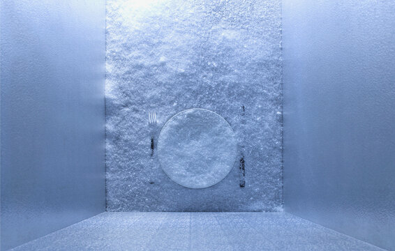 Frozen dinnerware in freezer