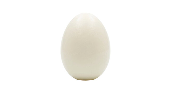 Single pale egg isolated on a clean white background