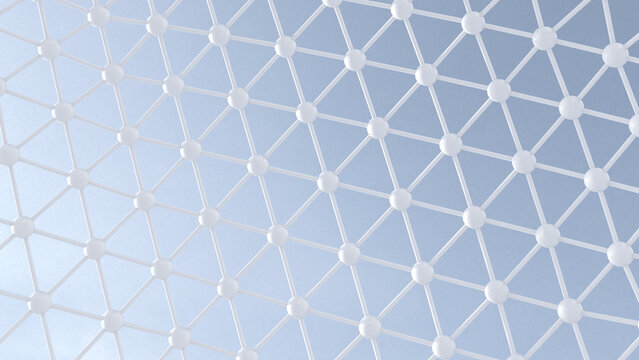 Network