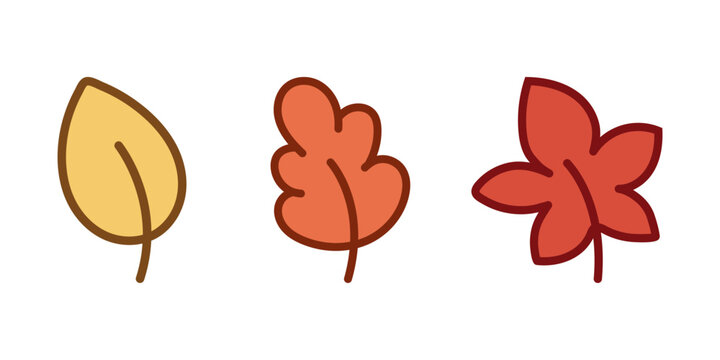 Autumn leaves collection, falling orange foliage, seasonal nature vector elements, botanical design assets