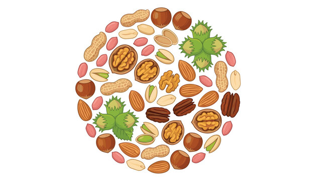 Edible nuts assortment vector illustration set with walnut almond peanut hazelnut pecan and pistachio organized in circle