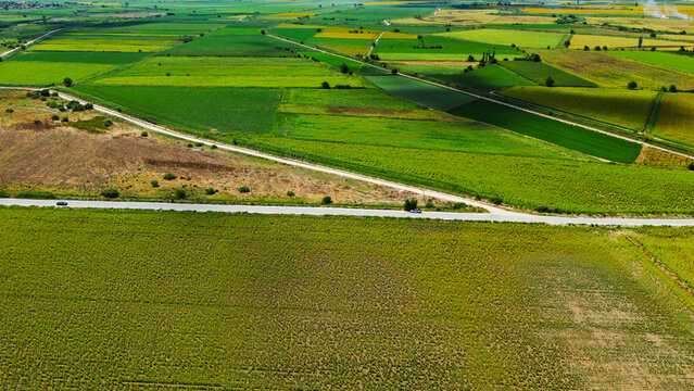 Sunflower Fields and Rural Farmland Landscape