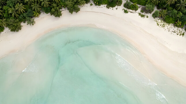 Top-down drone image of a natural shoreline with turquoise water, white ocean waves, textured sand and clean coastal patterns. AI Generated.