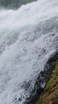 Waterfall rheinfall water stream fall, Rhine river cascades in Switzerland. Power of Nature.
