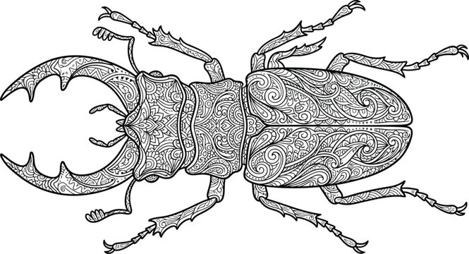 Stag beetle coloring page with intricate ornamental zentangle patterns vector illustration