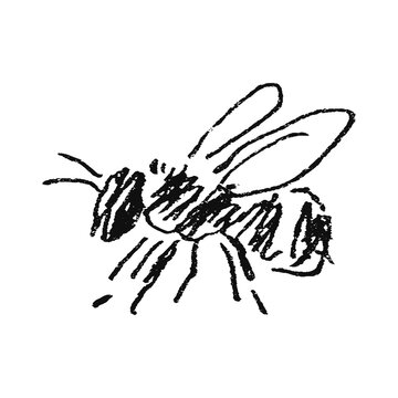 PNG Hand-drawn bee sketch illustration.