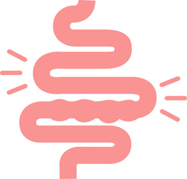 Digestive Health Medical Organ Icon