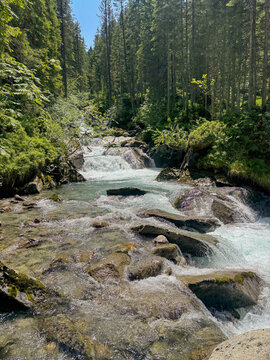 Scenic Mountain Stream Flowing Through Forest in K&ouml;nigsleiten Austria Tirol on a Sunny Summer Day With Rocks and Greenery Perfect for Travel and Tourism