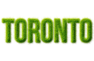 Obraz premium Toronto word written in realistic green grass texture typography isolated on black background
