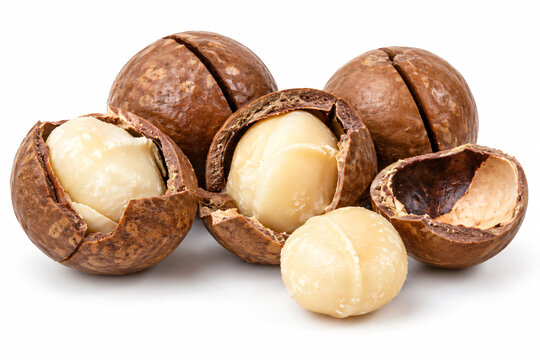 Fresh macadamia nuts shown whole, cracked and shelled with creamy white kernels, isolated on a clean white background, natural food ingredient for healthy nutrition