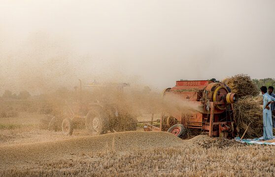 View of a wheat thresher machine separating grain from stalks in a field with a tractor and farmers in Multan, Punjab, Pakistan.