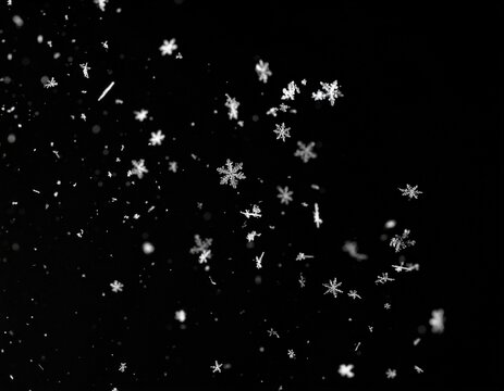 Falling white snowflakes on a black background, overlay material for screen blending