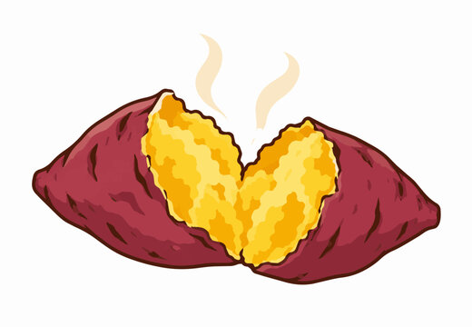 焼き芋 湯気の立つさつまいもの断面イラスト