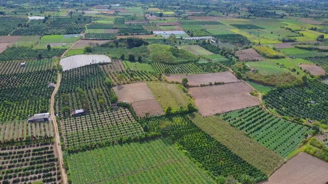 Aerial view of Mount Sinabung agricultural fields with diverse plantations and rural landscape in Naman Teran, North Sumatra, Indonesia.
