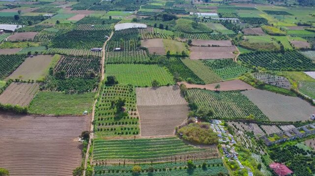 Aerial view of Mount Sinabung agricultural fields with a patchwork of green and brown crops in the volcanic landscape of Naman Teran, North Sumatra, Indonesia.