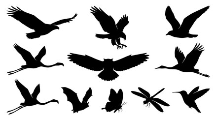 Fototapeta premium Flying bird silhouette collection featuring hawk owl crane and dragonfly in mid-air action poses