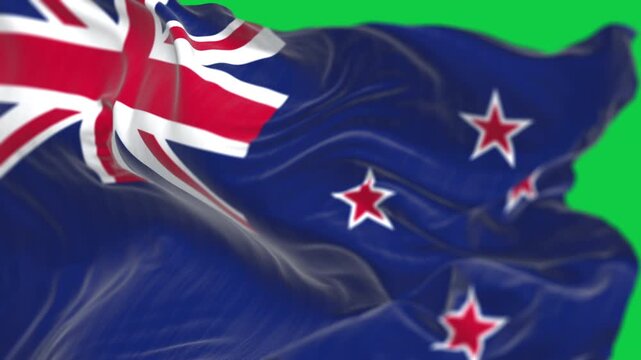 New Zealand national flag waving isolated on green background
