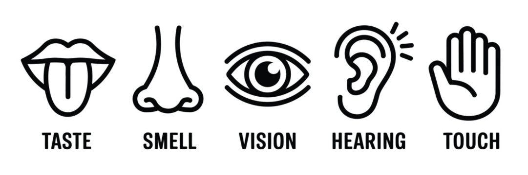 Five Human Senses Symbols, Eye Nose Ear Hand Mouth Tongue Icons for Vision Smell Hearing Touch Taste Nervous System