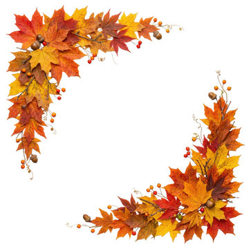 Colorful autumn maple leaf corner border with acorns