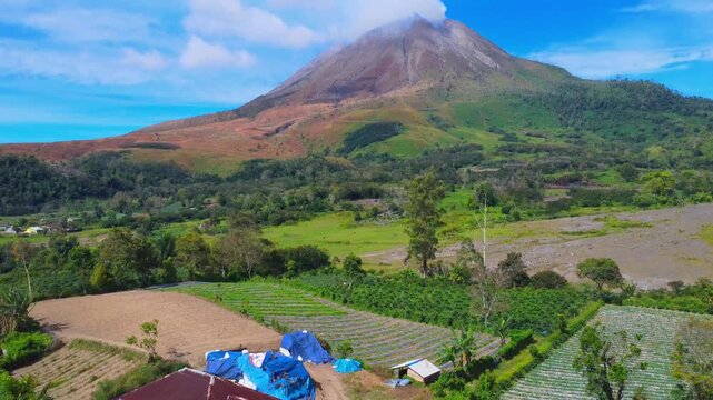 Aerial view of Mount Sinabung with volcanic smoke rising above lush green fields and agricultural terraces in Naman Teran, North Sumatra, Indonesia.
