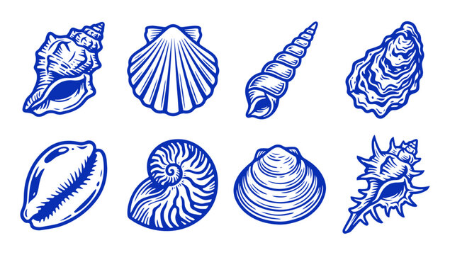 Set of hand drawn nautical seashells isolated on white background in blue line art
