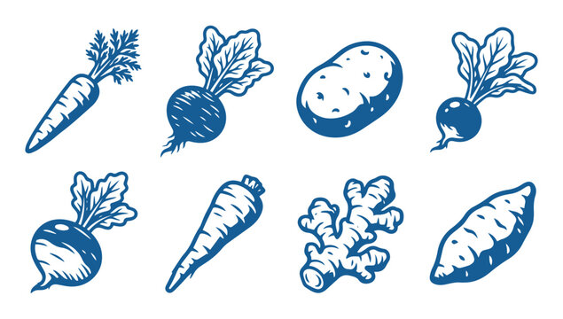 Collection of various fresh root vegetables isolated on a white background icon set design