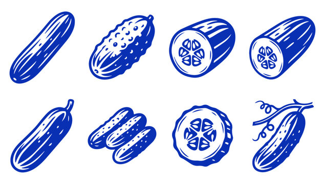 Set of hand drawn cucumber icons isolated on a white background for design projects