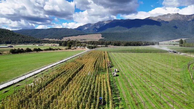 Aerial view of hop farm with rows of plants and machinery in Murchison, Tasman Region, New Zealand.