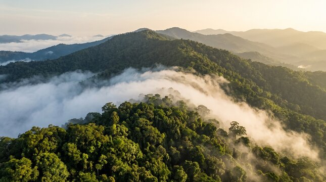 Aerial View of Misty Green Mountain Range