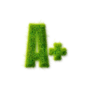 A Plus Grade Symbol Made of Realistic Green Grass Texture Isolated on Transparent Background