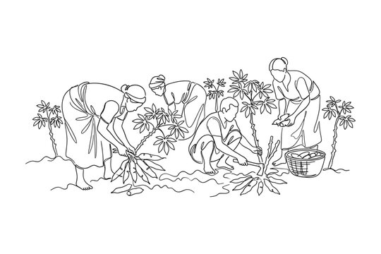 A line art illustration of farmers harvesting cassava crops in a field.