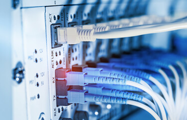 Obraz premium Fiber Optic cables connected to optic ports and UTP, Network cables connected to ethernet ports