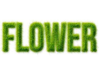 Flower word typography made of realistic green grass texture isolated on transparent background © Mahmud