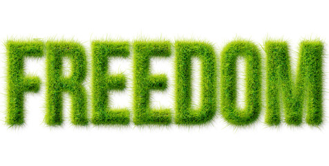 Freedom word typography rendered in a realistic green grass texture isolated on transparent © Mahmud