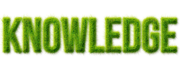 Knowledge word written in realistic green grass texture typography isolated on transparent © Mahmud