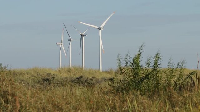 Wind turbines standing along the Kattegat sea coast near Frederikshavn, with tall grass blowing in the strong wind in the foreground
