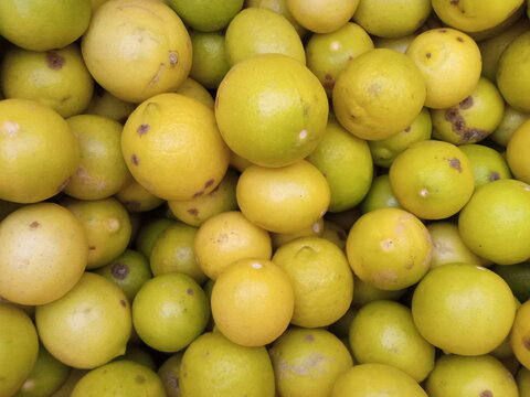 Fresh ripe limes piled together in a heap creating a vibrant citrus fruit background texture