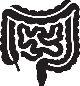 Human Intestines Digestive System Anatomy Vector Icon Illustration