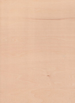 Authentic wood texture with soft organic pattern high quality scan 600 dpi