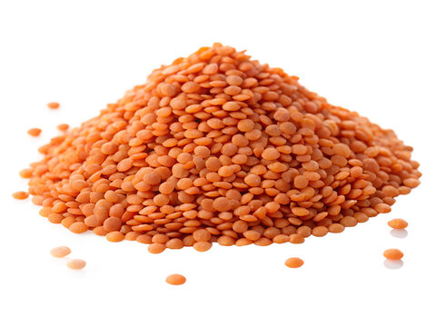 Raw Red Lentils Pile Split Masoor Dal Isolated on White Background