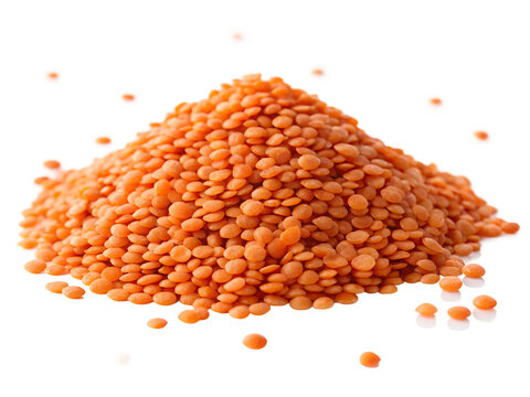 Raw Red Lentils Pile Split Masoor Dal Isolated on White Background