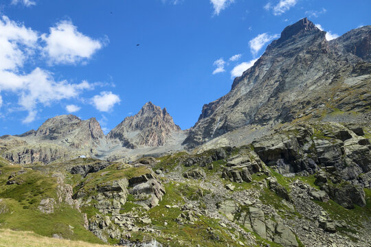 Viso de Vallanta (&agrave; droite) et Visolotto (au centre)  et le rifugio Vallanta. Province de Cun&eacute;o - Alpes Cotiennes - Italie