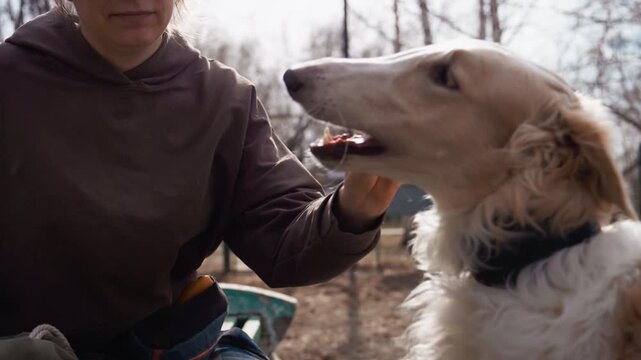 Woman sits outdoors with dog feeding it by hand. Woman wears casual clothing including plaid skirt and brown sweatshirt while white coated canine eagerly accepts food in open mouth. scene