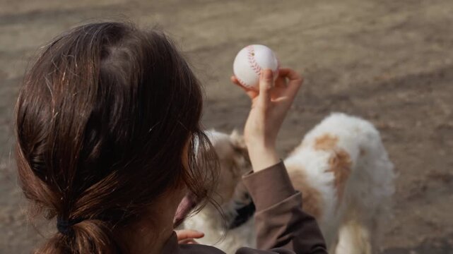 Young woman holds baseball engaging with two happy dogs in outdoor setting. scene captures interaction between human and animals during playtime on dirt ground