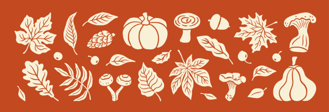 Autumn hand drawn set elements. Silhouette fall leaves, pumpkin, mushroom, leaf maple, berry, acorn, oak. Thanksgiving day. Forest nature. Fall plant vintage cut out paper icon. Vector illustration.
