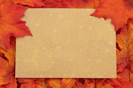 Fall leaves with a blank greeting card for your autumn message