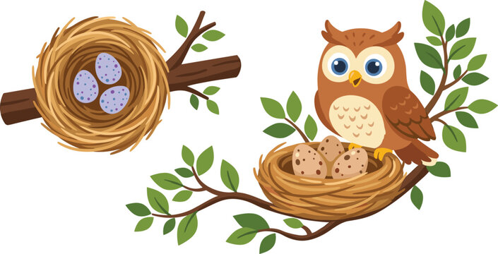 Cute Cartoon Owl Sitting on Branch Beside Bird Nest with Eggs in Flat Vector Illustration